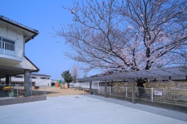 125-1-150439.jpg